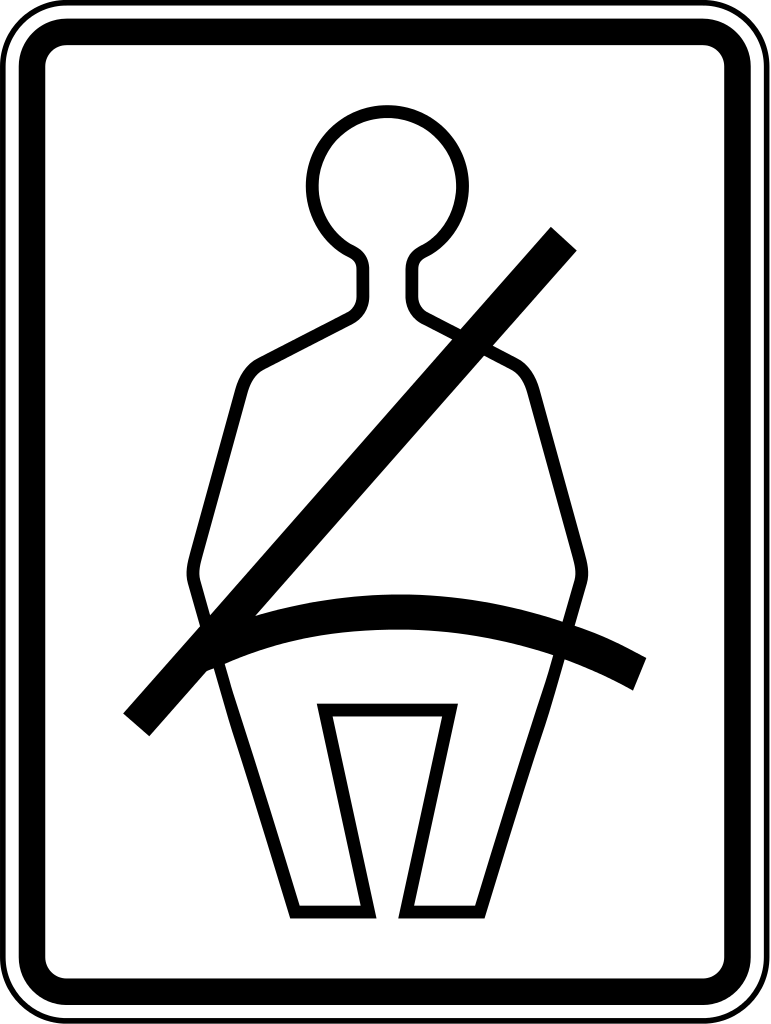 R16-1 Seat Belt