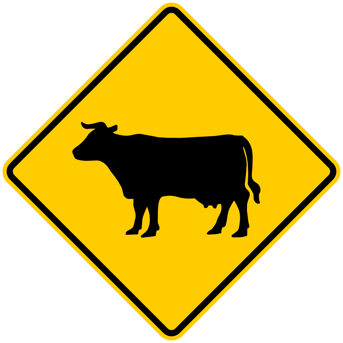 W11-4 Cattle